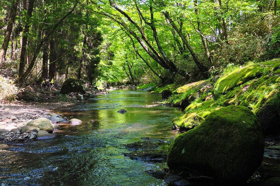 山の水